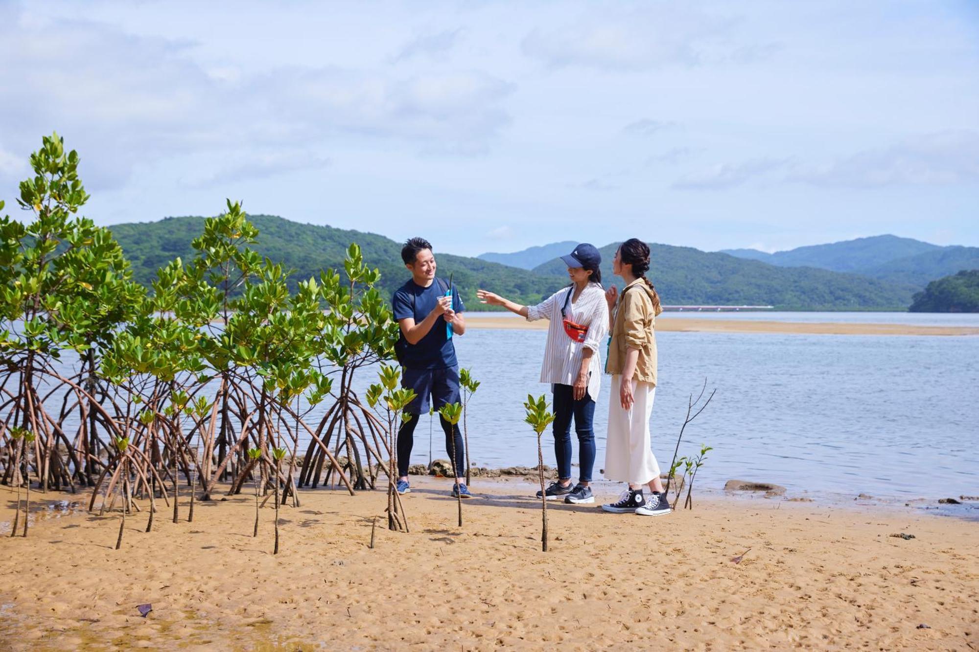 Iriomote Hotel By Hoshino Resorts 우라우치 외부 사진